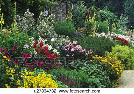 Colourful flowering plants in herbaceous border in large country garden in summer View Large Photo Image Stock Image - Colourful flowering plants in herbaceous border in large country garden in summer. Fotosearch