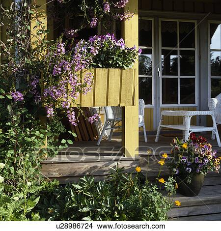 Picture - Colourful flowering plants in windowbox on veranda of traditional house. Fotosearch