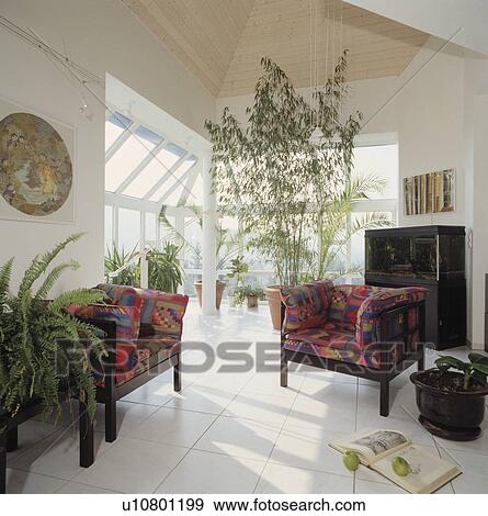colourful patterned chairs and tall houseplant in modern white loft conversion living room View Large Photo Image Stock Photo - colourful patterned chairs and tall houseplant in modern white loft conversion living room. Fotosearch