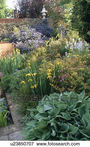 Stock Photo - Colourful perennials in flowering border in large country garden in summer. Fotosearch