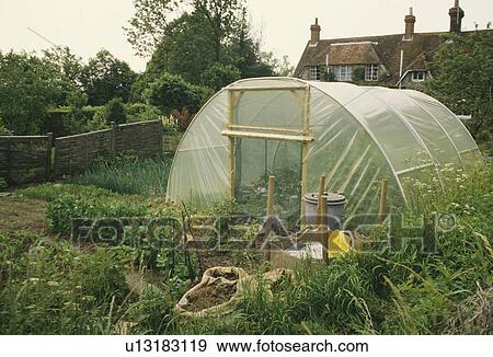 Stock Photo -  Corner of a garden with peas and onions, a poly tunnel and a view of the back of manor house . Fotosearch