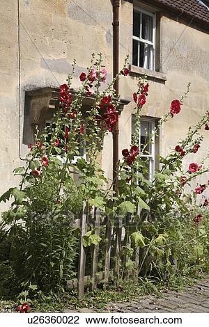 Stock Image - cottages, village, traditional, country, exteriors. Fotosearch