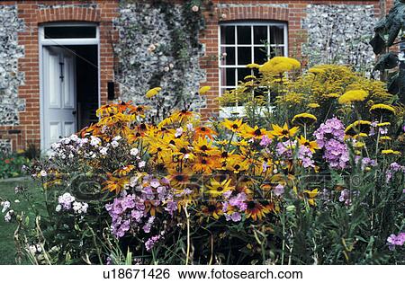 Cottgae Front Garden with phlox, achillea and golden rod. View Large Photo Image Stock Photograph - Cottgae Front Garden with phlox, achillea and golden rod.. Fotosearch
