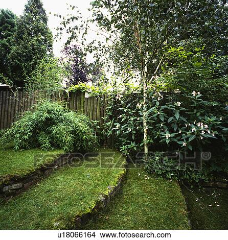 Picture - Curved stone-edged steps in country garden. Fotosearch