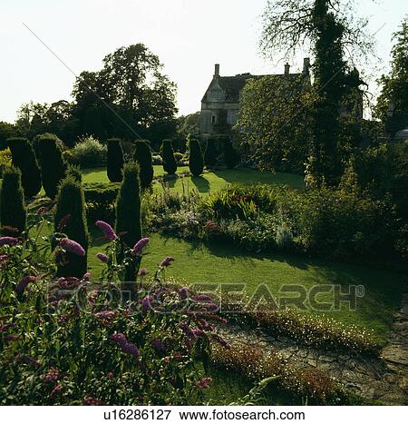 Cypress trees in large country garden View Large Photo Image Stock Photo - Cypress trees in large country garden. Fotosearch