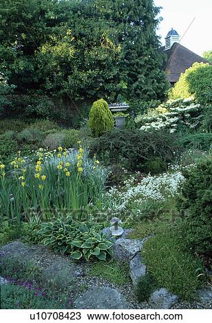 Daffodils in country garden in spring View Large Photo Image Stock Image - Daffodils in country garden in spring. Fotosearch