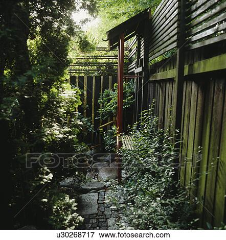 Stock Photo - Dappled shade on trees and shrubs in a narrow passage by wooden oriental building. Fotosearch