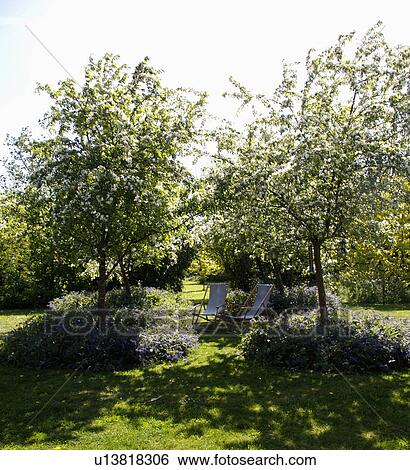 Deckchairs below flowering trees in country garden in summer View Large Photo Image Stock Photograph - Deckchairs below flowering trees in country garden in summer . Fotosearch