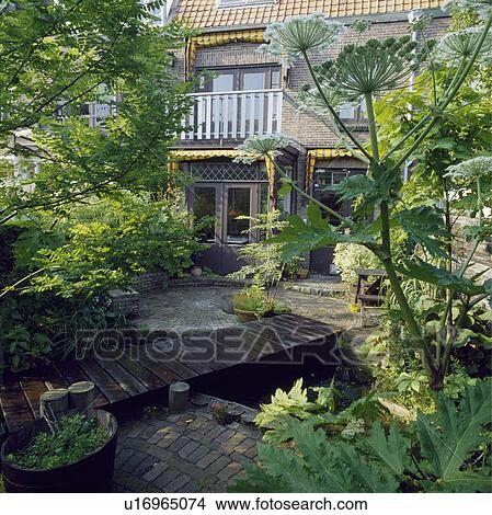 Picture - Decking footbridge over narrow pond in small town garden. Fotosearch