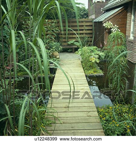 Decking path over pond in town garden View Large Photo Image Stock Photo - Decking path over pond in town garden. Fotosearch