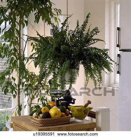 Stock Image - details, interior, houseplant, fruit, pestle&mortar, traditional. Fotosearch