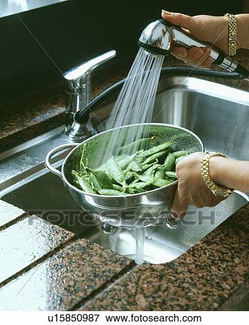 Details of woman washing vegetables with spray in stainless steel sink. View Large Photo Image Stock Photo - Details of woman washing vegetables with spray in stainless steel sink.. Fotosearch