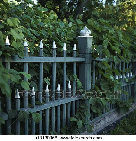 Stock Photo - Fence in green country garden in summer. Fotosearch