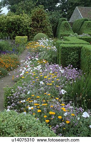 Flowering border beside path in large country garden in summer View Large Photo Image Stock Image - Flowering border beside path in large country garden in summer . Fotosearch
