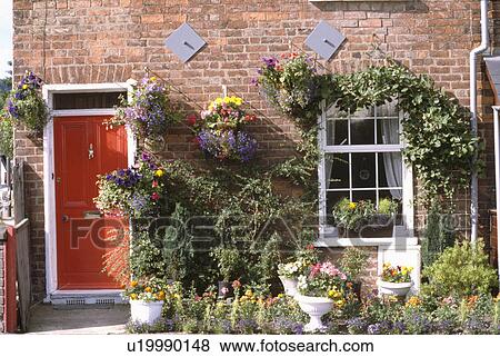 Flowering plants in containers and front garden of Victorian brick cottage with red front door View Large Photo Image Stock Photo - Flowering plants in containers and front garden of Victorian brick cottage with red front door. Fotosearch