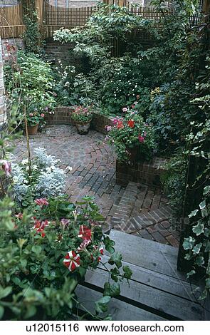 Flowering plants in pots in small paved basement garden View Large Photo Image Stock Photograph - Flowering plants in pots in small paved basement garden. Fotosearch
