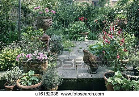Flowering plants in pots on patio in town garden in summer View Large Photo Image Stock Photo - Flowering plants in pots on patio in town garden in summer. Fotosearch