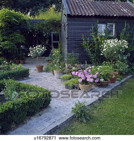 Flowering plants in pots paved patio in front of shed in country garden in summer View Large Photo Image Stock Image - Flowering plants in pots paved patio in front of shed in country garden in summer . Fotosearch