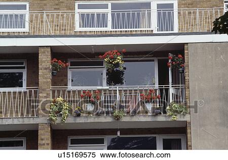 Flowering summer plants in containers on balcony of seventies apartment building View Large Photo Image Stock Photography - Flowering summer plants in containers on balcony of seventies apartment building. Fotosearch