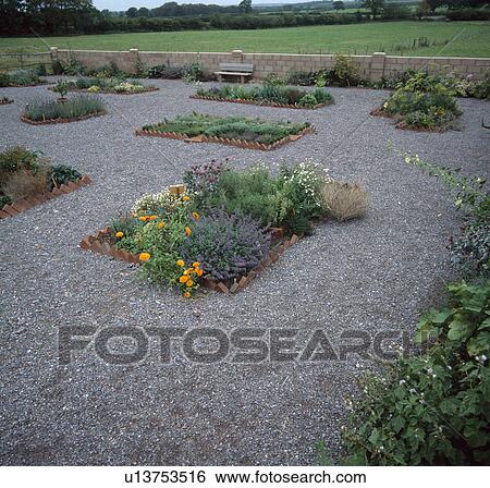 Stock Photograph - Formal rectangular beds with culinary and medicinal herbs in gravelled herb garden. Fotosearch