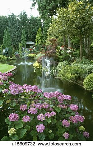 Fountains in large curved pond in formal country garden with pink hydrangeas View Large Photo Image Stock Image - Fountains in large curved pond in formal country garden with pink hydrangeas. Fotosearch