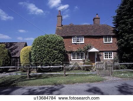 Front garden of counrty cottage with large clipped mounds of portugese laurel and golden privet. View Large Photo Image Picture - Front garden of counrty cottage with large clipped mounds of portugese laurel and golden privet.. Fotosearch