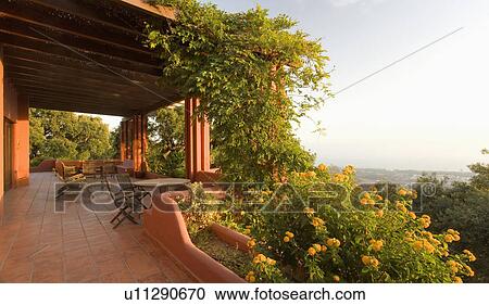 Furniture & terracotta flooring on veranda with green climbing plants above yellow perennials in garden st sunset View Large Photo Image Stock Image - Furniture & terracotta flooring on veranda with green climbing plants above yellow perennials in garden st sunset. Fotosearch