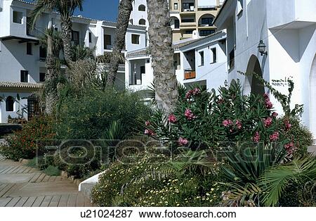 Stock Photo - Garden in front of small villas in village in southern Spain. Fotosearch
