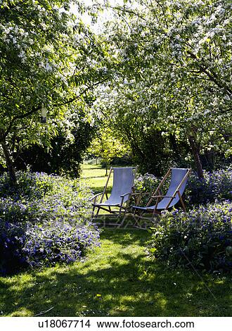 Picture - gardens, country, blue, furniture, chair, path, tree, summer. Fotosearch