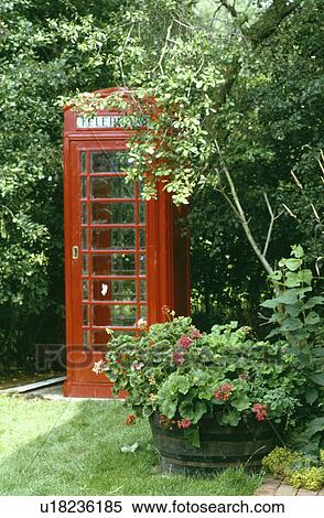 Geraniums in wooden barrel in front of old red telephone kiosk in country garden View Large Photo Image Stock Photography - Geraniums in wooden barrel in front of old red telephone kiosk in country garden. Fotosearch