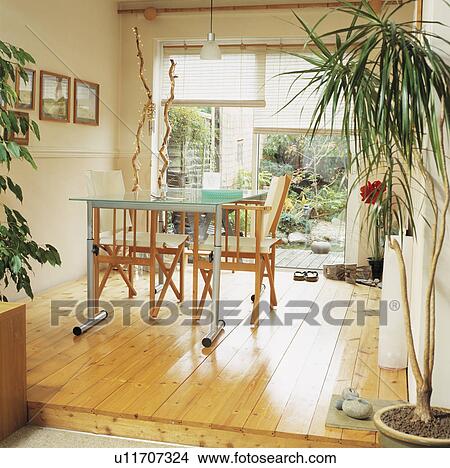 Glass and steel table and pale wood floorboards in dining room with tall houseplant and white blinds on patio doors View Large Photo Image Picture - Glass and steel table and pale wood floorboards in dining room with tall houseplant and white blinds on patio doors. Fotosearch