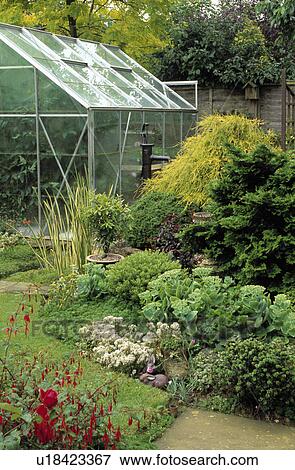 Stock Photo - Glass greenhouse in country garden. Fotosearch
