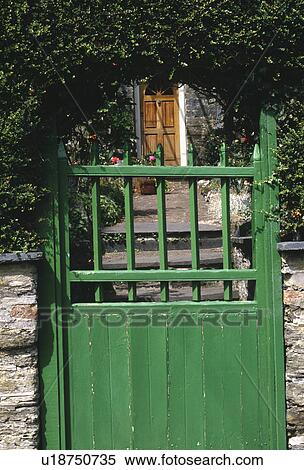 Grand Plan De Vert Bois Porte Jardin Banques De Photographies