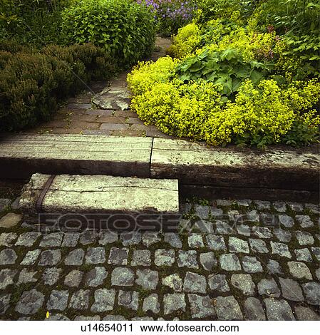 Granite set patio with steps of railway sleepers with lady's mantle and heather View Large Photo Image Stock Image - Granite set patio with steps of railway sleepers with lady's mantle and heather. Fotosearch