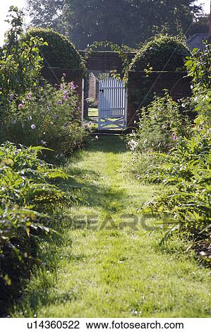 Grass path in country garden in summer View Large Photo Image Stock Image - Grass path in country garden in summer. Fotosearch