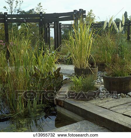 Grasses beside pond in country garden View Large Photo Image Stock Image - Grasses beside pond in country garden. Fotosearch