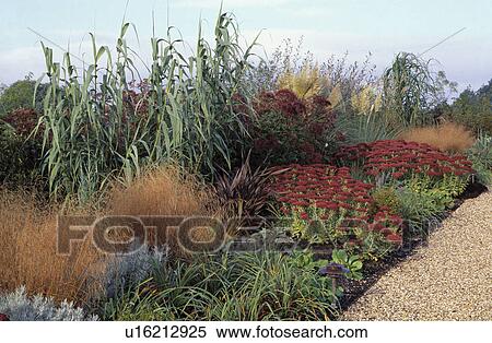 Stock Photography - Gravel path and borders with grasses and sedum in large country garden in Autumn. Fotosearch