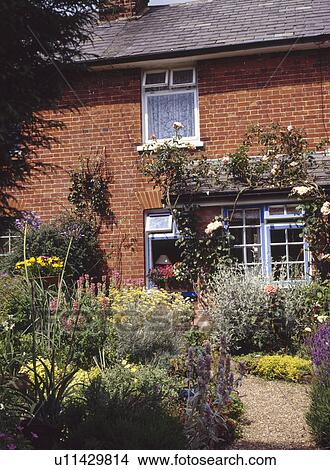 Picture - Gravel path through flower border to small brick terraced cottage. Fotosearch
