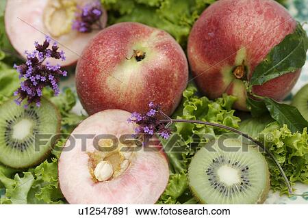 green, outside, still-life, fruit, food View Large Photo Image Stock Image - green, outside, still-life, fruit, food. Fotosearch