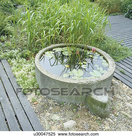 Green plants and small raised circular pond in country garden View Large Photo Image Stock Photography - Green plants and small raised circular pond in country garden. Fotosearch