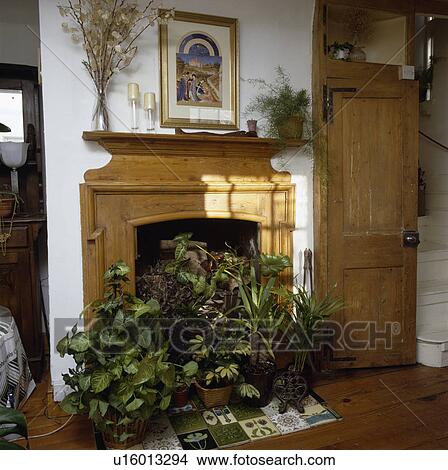 Green plants in pine fireplace View Large Photo Image Picture - Green plants in pine fireplace. Fotosearch