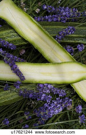 Picture - green, vegetable, food. Fotosearch