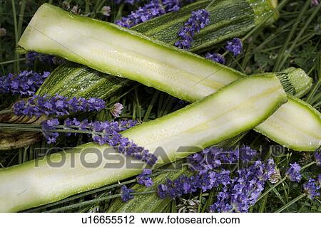 green, vegetable, food View Large Photo Image Stock Image - green, vegetable, food. Fotosearch