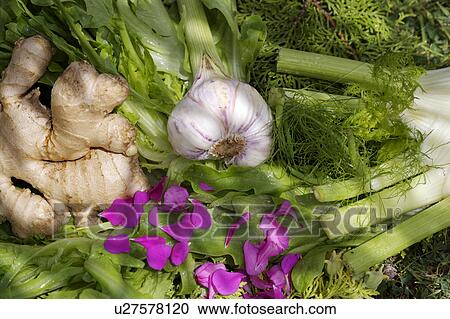 green, vegetable, food View Large Photo Image Stock Image - green, vegetable, food. Fotosearch