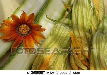 green, yellow, orange, vegetable, food View Large Photo Image Stock Photo - green, yellow, orange, vegetable, food. Fotosearch