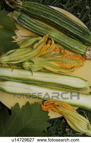 green, yellow, orange, vegetable, food View Large Photo Image Stock Photo - green, yellow, orange, vegetable, food. Fotosearch