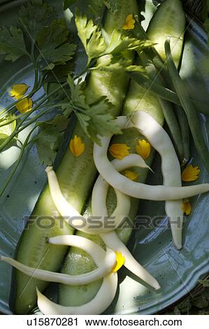 green, yellow, vegetable, food View Large Photo Image Stock Image - green, yellow, vegetable, food. Fotosearch
