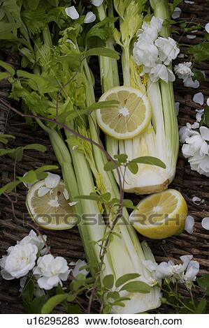 green, yellow, vegetable, food View Large Photo Image Stock Image - green, yellow, vegetable, food. Fotosearch