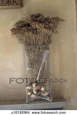 Gros Plan De Fleurs Séchées Dans Vase Verre Image