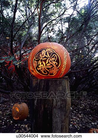 Picture - Halloween pumpkins in USA. Fotosearch